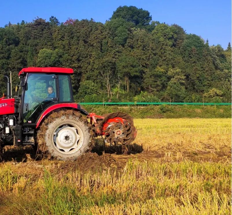 稳产增收好“丰景” 播撒来年新希望——多地秋收冬种一线扫描