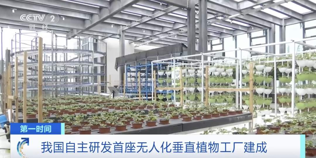 我国自主研发首座无人化垂直植物工厂建成